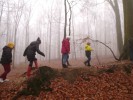 4 Schüler laufen im Wald