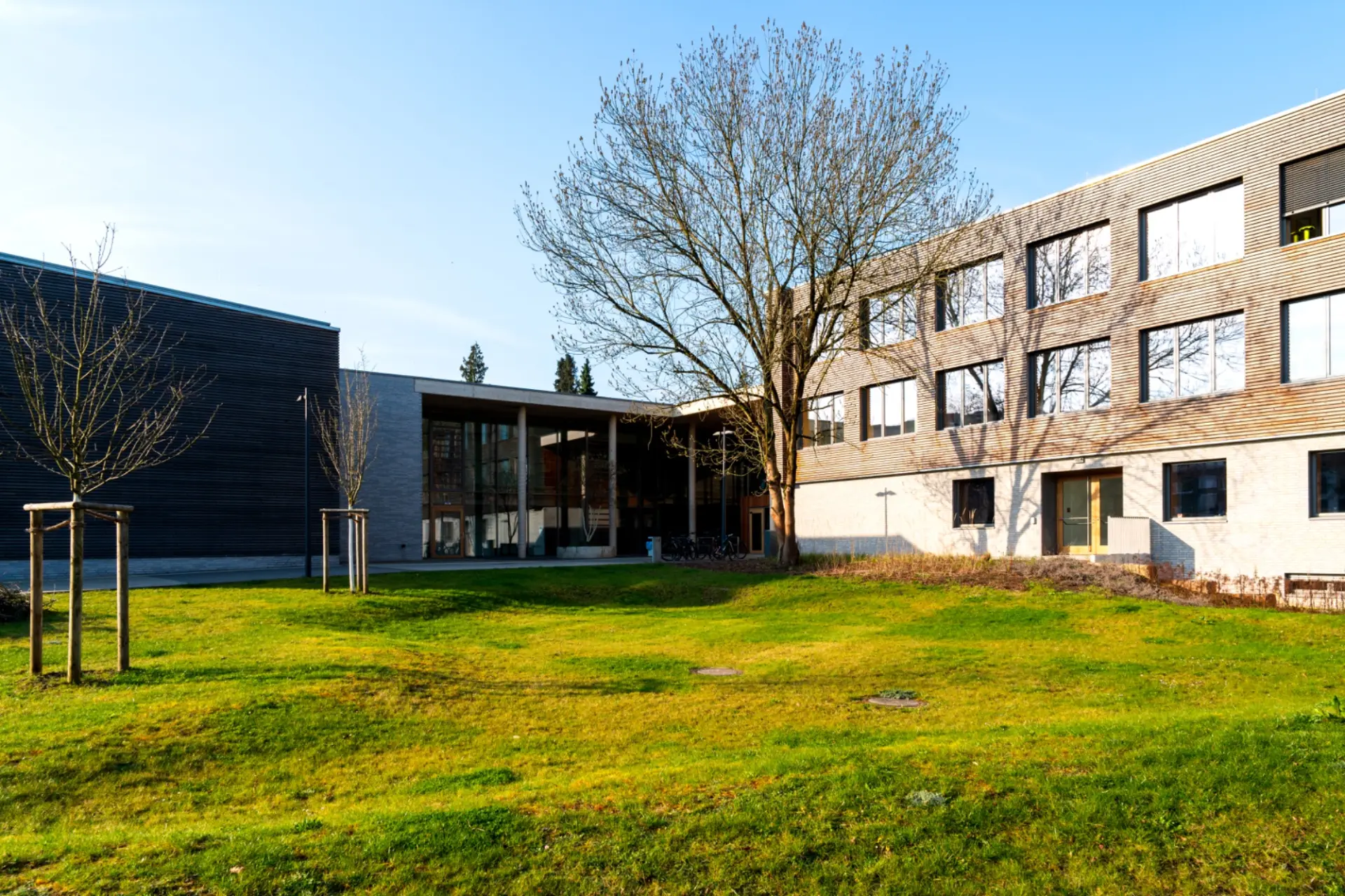 Eine weitläufige Außenansicht der Kurt-Schwitters-Schule bei sonnigem Wetter. Im Vordergrund erstreckt sich eine leicht hügelige, grüne Rasenfläche mit jungen Bäumen. Das moderne Schulgebäude im Hintergrund besteht aus mehreren Flügeln mit hellen Backsteinfassaden, großen Fensterfronten und markanten Holzverkleidungen an den Obergeschossen.